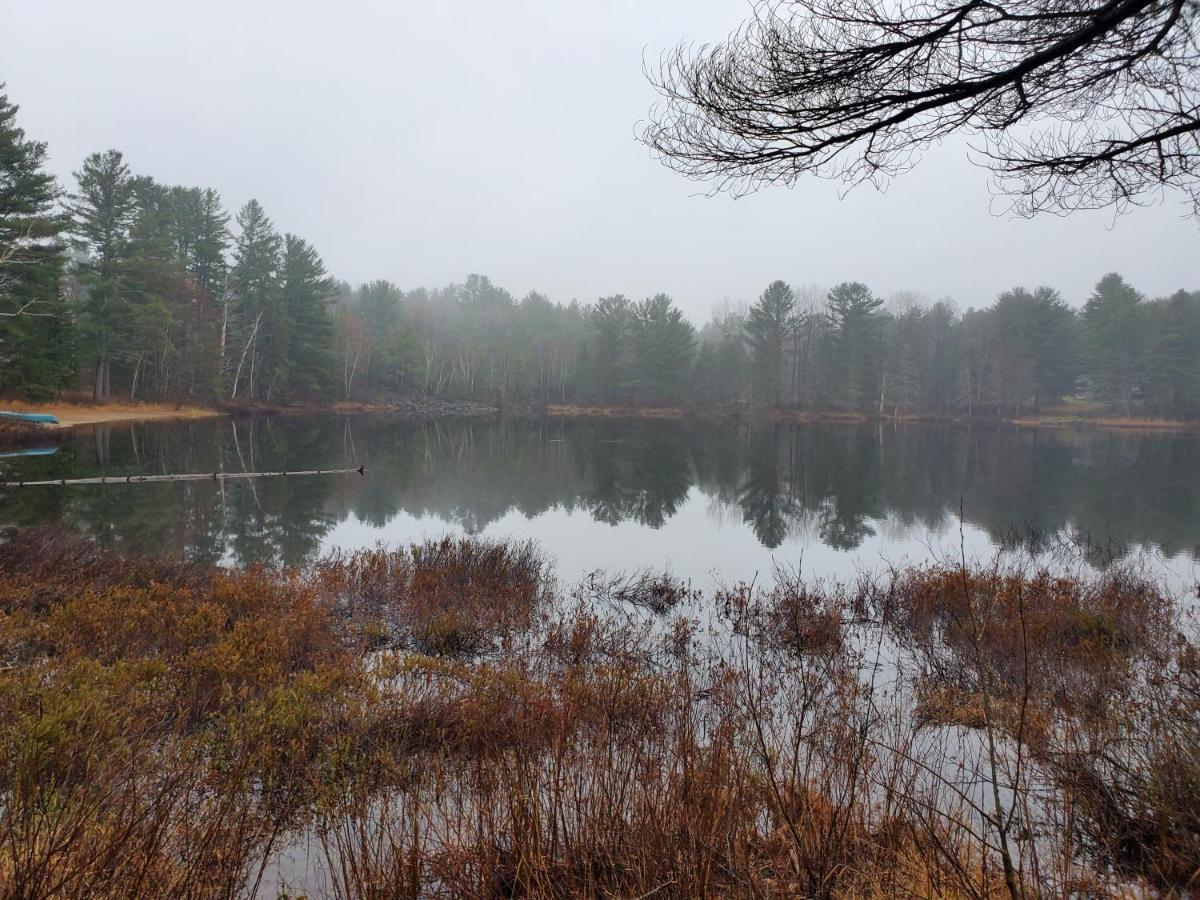 Spring Lake Resort Dwight Eksteriør billede