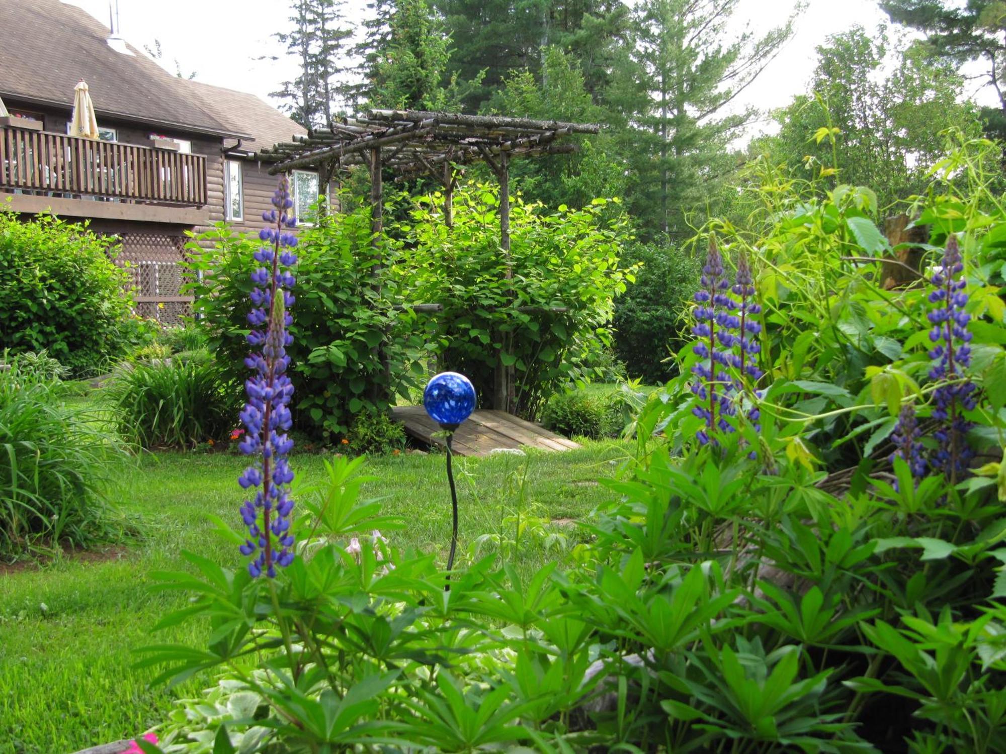Spring Lake Resort Dwight Eksteriør billede